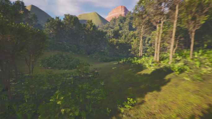 Forest Level Design